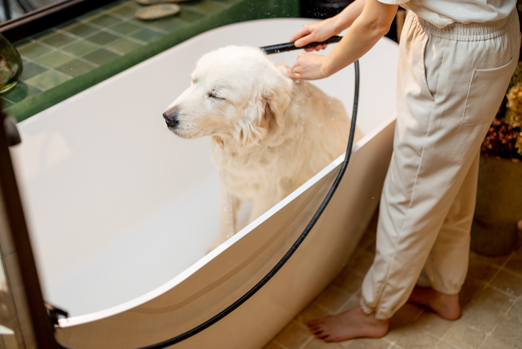 A Spa Day at Home