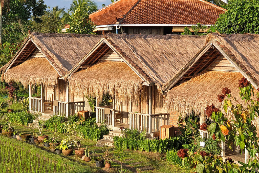 Bali Silent Retreat, Tabanan- An Oasis of Mindfulness