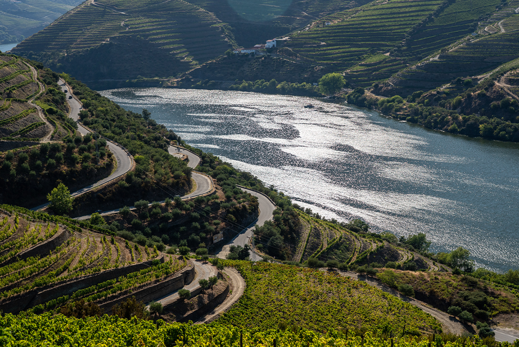 Countryside retreats wrapped in elegance