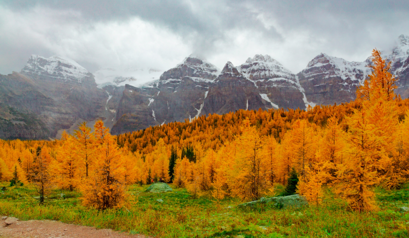 Embracing Autumn's Splendor- The Best Destinations for Fall