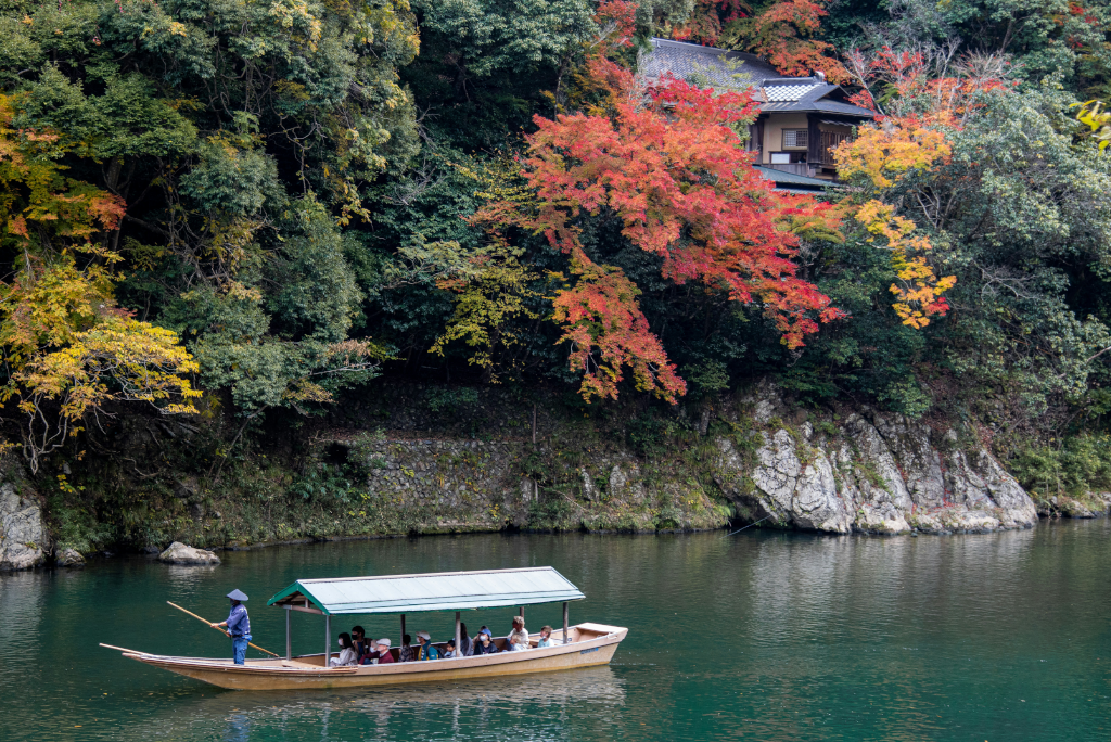 Kyoto, Japan- Serenity Amongst the Maples