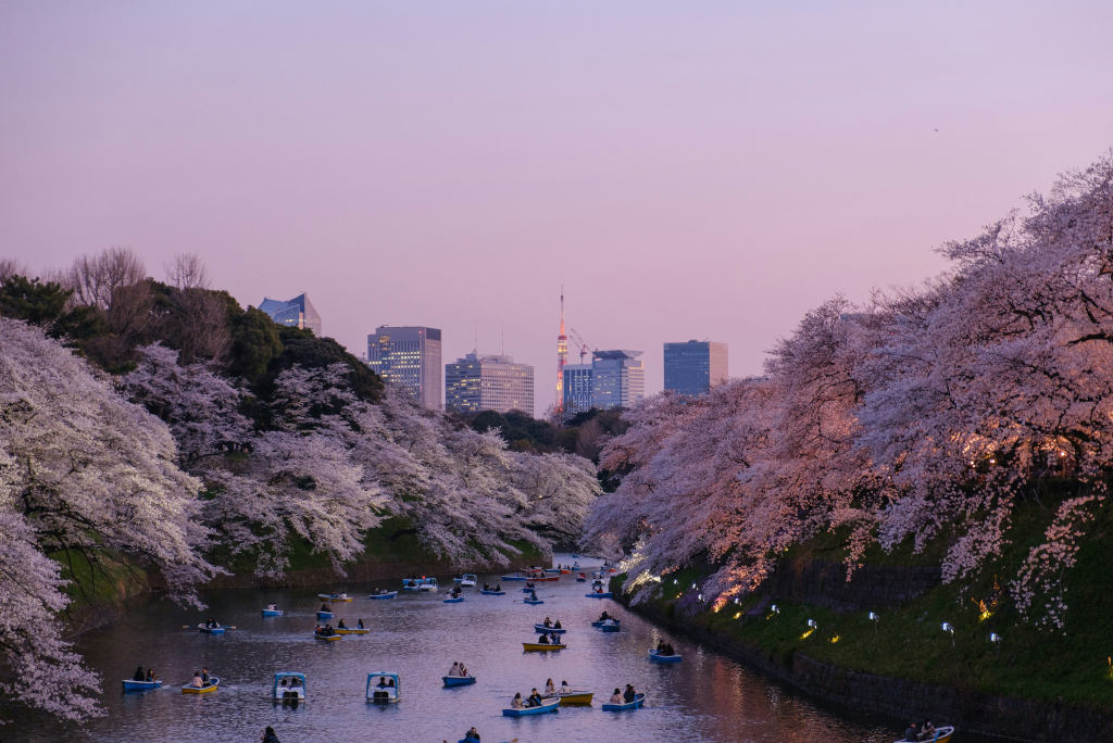 Nature’s Canvas- From Sakura to Summits