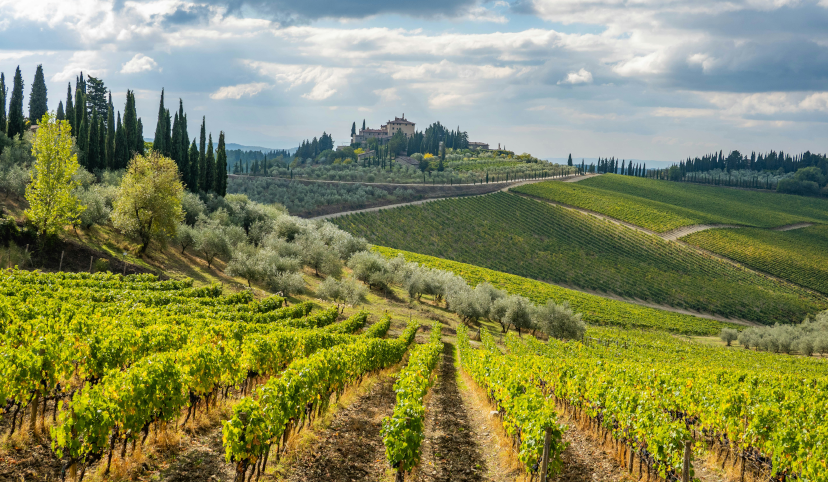 Why Travel to Tuscany