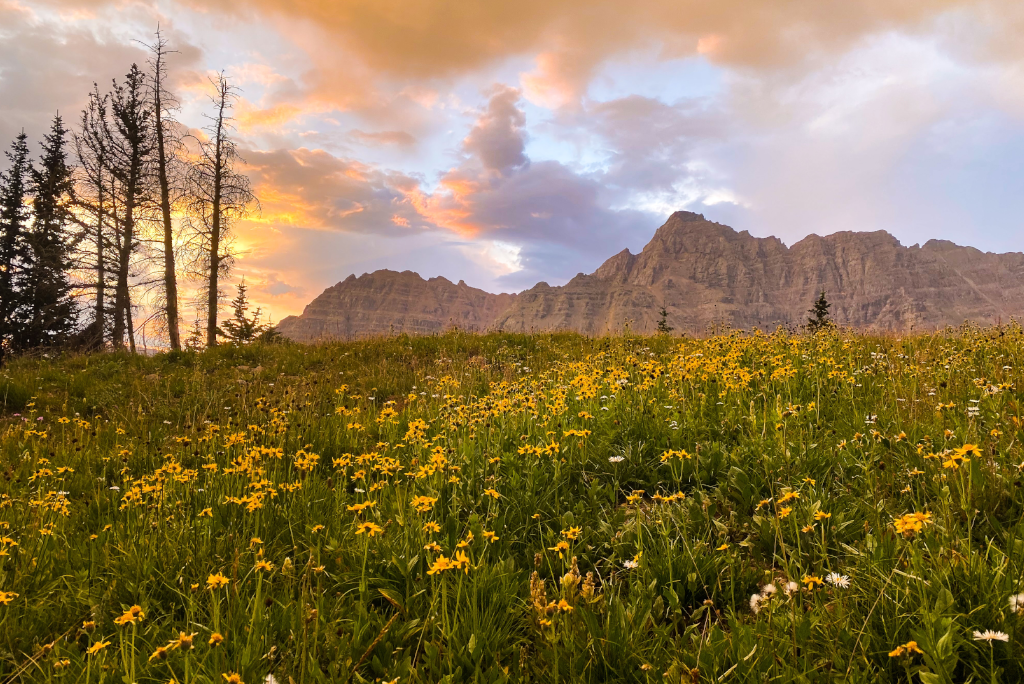 Year-round Outdoor Activities